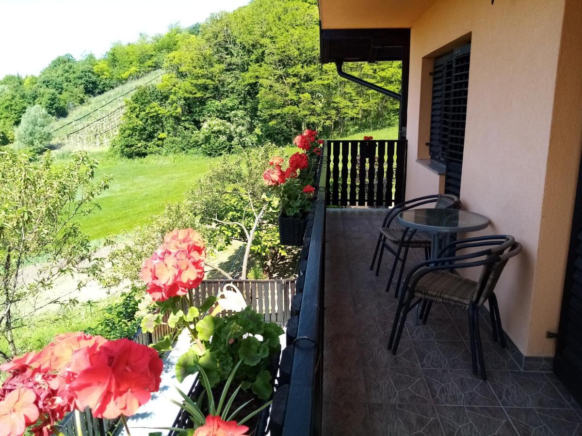 Apartman Potocki Krapina Exterior foto
