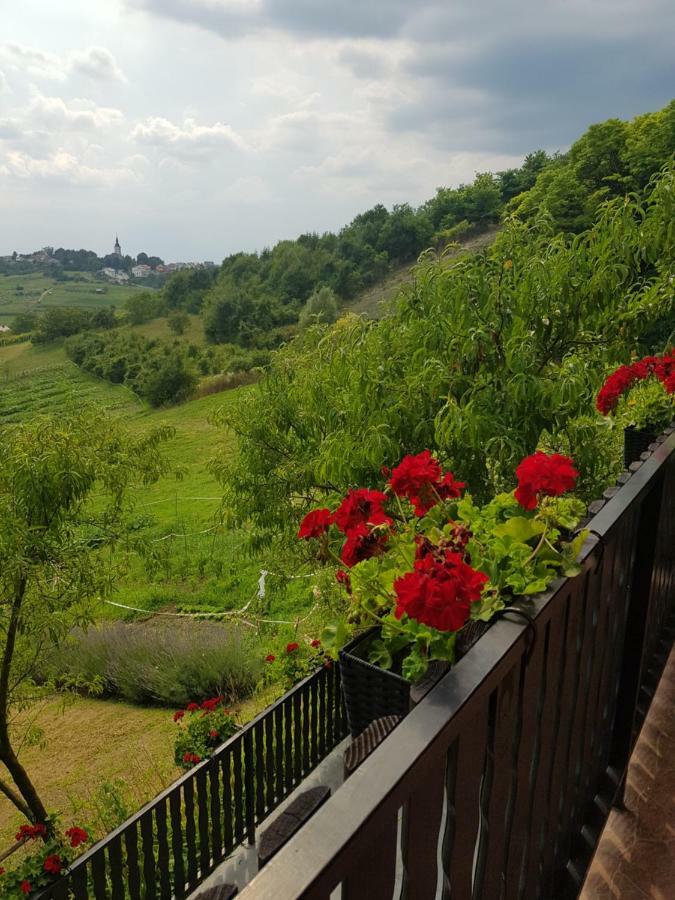 Apartman Potocki Krapina Exterior foto