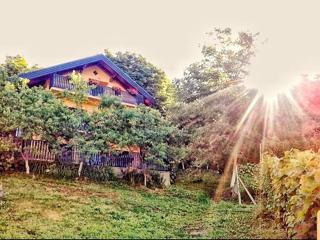 Apartman Potocki Krapina Exterior foto