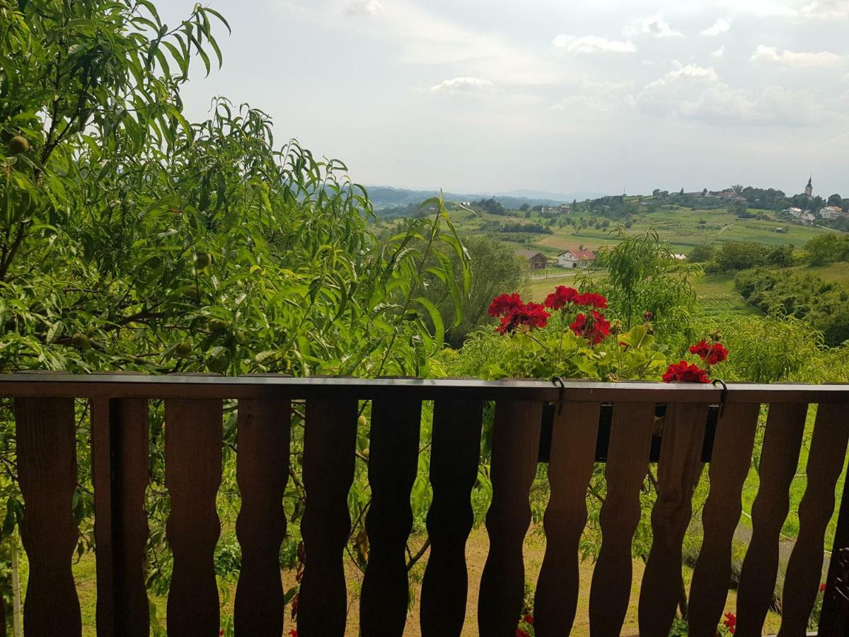 Apartman Potocki Krapina Exterior foto