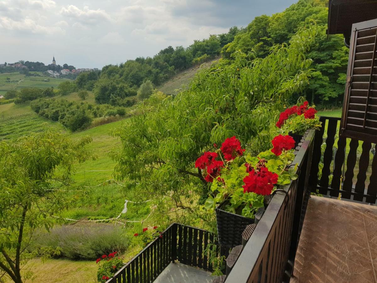 Apartman Potocki Krapina Exterior foto