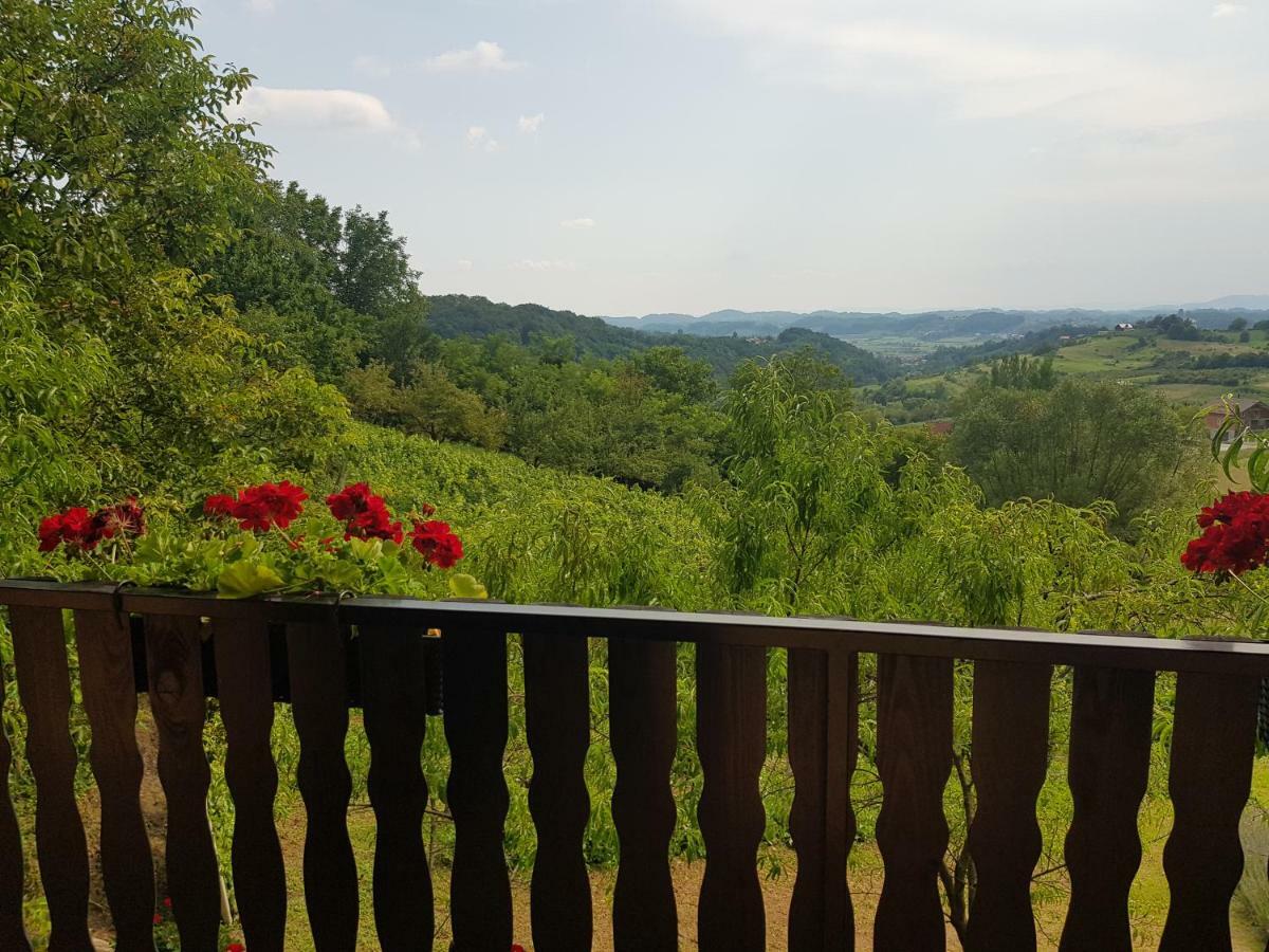 Apartman Potocki Krapina Exterior foto